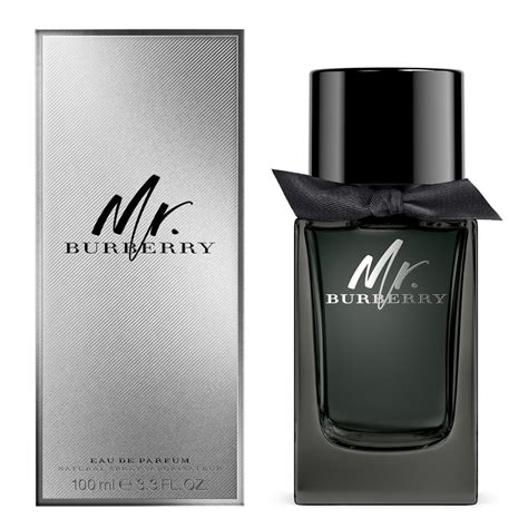 mr burberry 100ml price